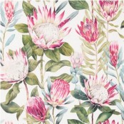 gancedo-glasshouse-king-protea-2