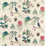 gancedo-glasshouse-paradesia-139