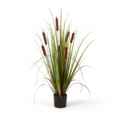 pilma-enea-plant-85cm