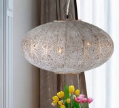 schuller-india-482033